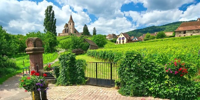 Vineyards and villages of Alsace