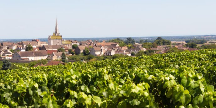 A wine village in Burgundy, surrounded by vineyards