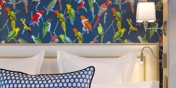 The pleasing parrot wallpaper in a room at Hotel Monge