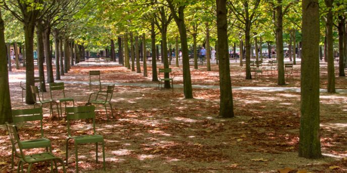 Shaded by rows of trees, empty chairs site in the Jardin du Luxembourg in Paris