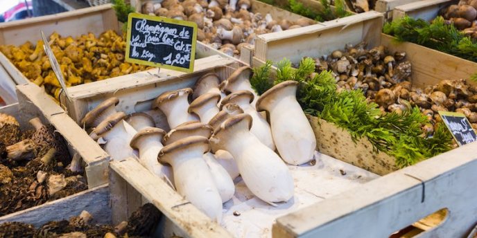 Mushroom for sale in a Paris outdoor market