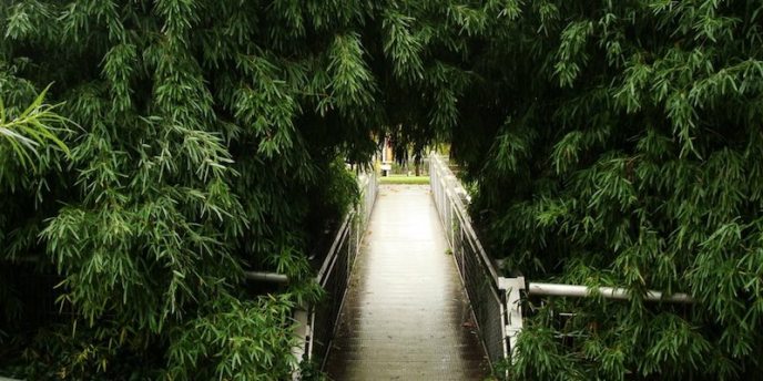 The Bamboo Garden at Villette