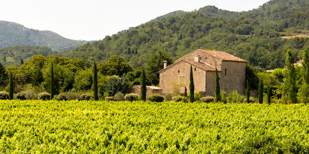 The vineyards and hills of the Cotes-du-Rhone near Crestet