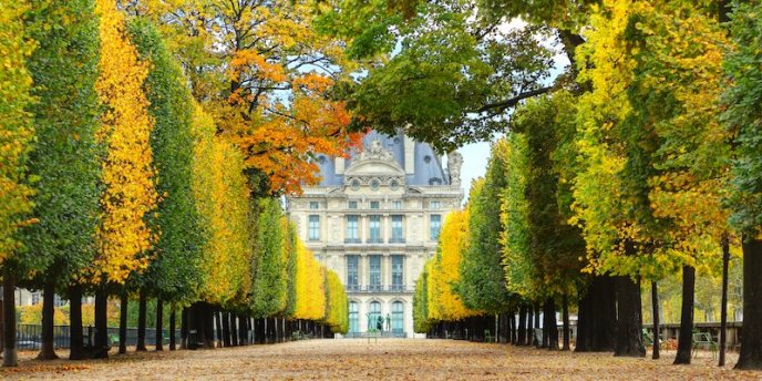 A tree-line walkway in the Jardin des Tuileries in the fall, with the Louvre in the distance