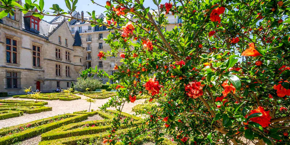 Red flowers and small shrubs in the garden of Hotel de Sens