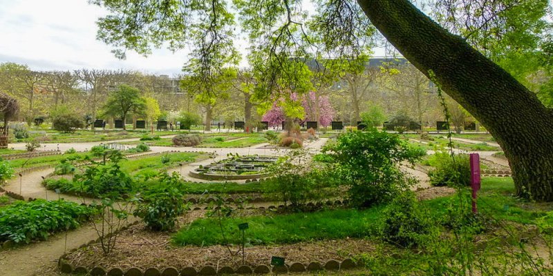 The compact & calm botanical garden at Jardin des Plantes with low plantings of herbs and medicial plants