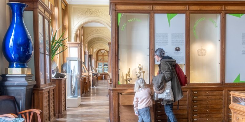 A young girl and her father look into
            the display cases at the Paris Mineralogy Museum