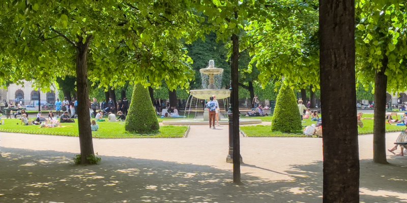 A view through the trees of the fountain and lawns of Place des Vosges on a summer day