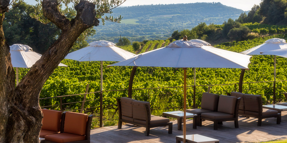 Tables and chairs set next to a vineyard in Provence