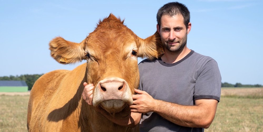 A cow and its farmer prepare for the Agriculture Show in Paris